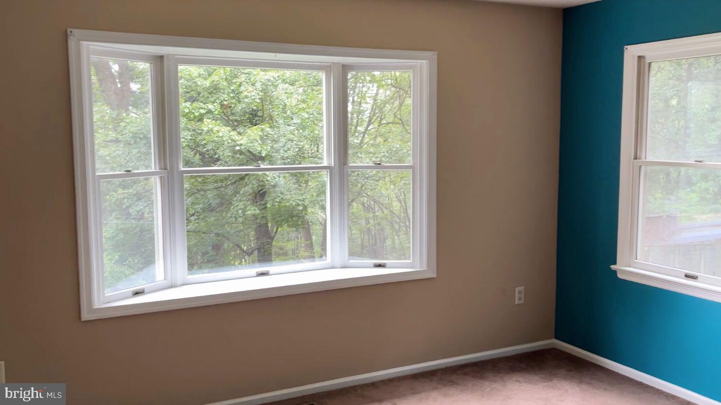 287 Blackthorne Road Stanley, VA 22851 - Photo 8 of 35