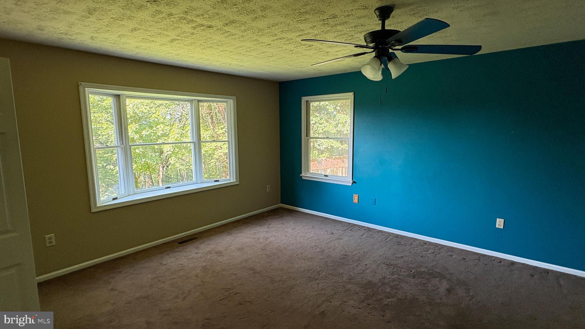 287 Blackthorne Road Stanley, VA 22851 - Photo 9 of 35 BR 1