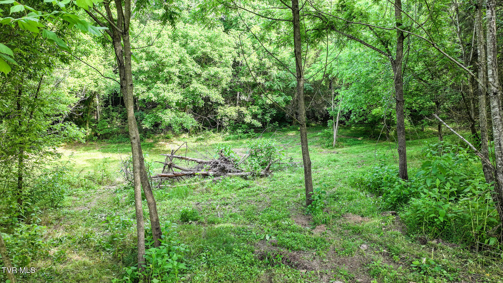 Tbd Middle Creek Road, Unit 21 Afton, TN 37616 - Photo 7 of 16 DJI_20260603024932_0569_D