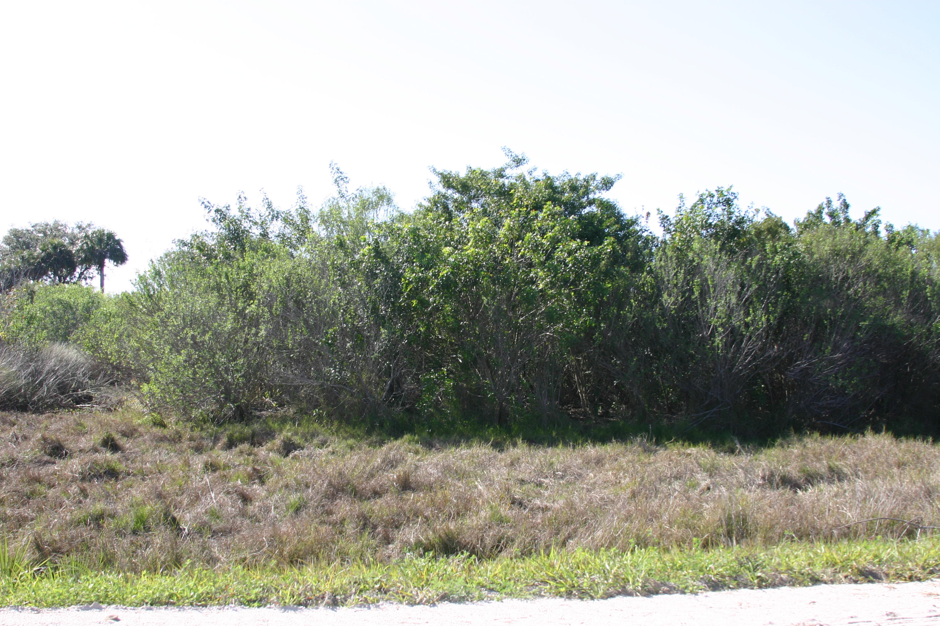 0 East Judson Road Merritt Island, FL 32953 - Photo 4 of 4 Judson Rd, growth shown May 2014