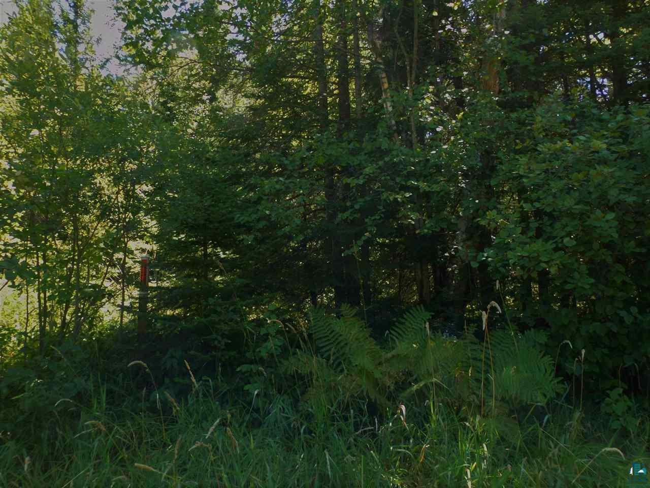 885-xx Bark Point Road Herbster, WI 54844 - Photo 10 of 14 Gallery Image 10