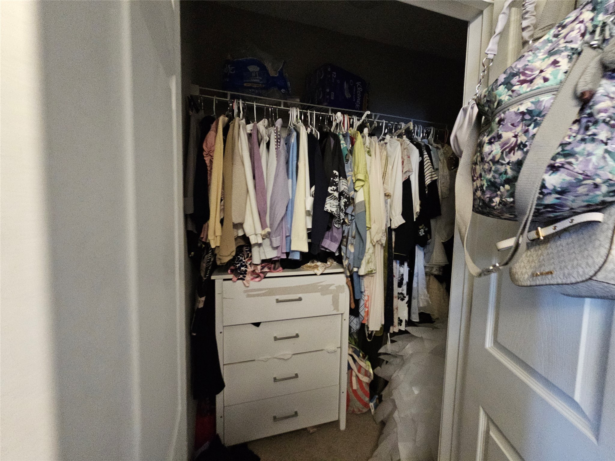 2502 Leon Street, Unit 304 Austin, TX 78705 - Photo 6 of 10 View of walk in closet