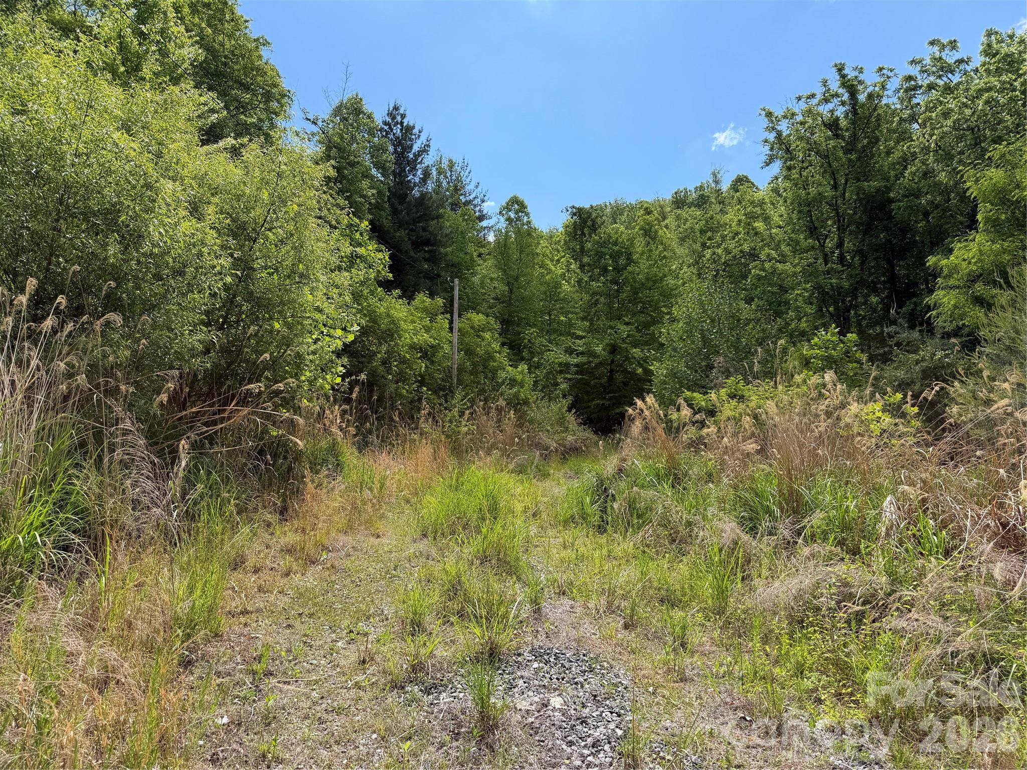 408 Arvil Gosnell Road Marshall, NC 28753 - Photo 31 of 31 a view of a garden