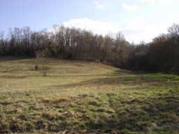 7 Dry Fork Road Hampshire, TN 38461 - Photo 1 of 1 Gallery Image 1