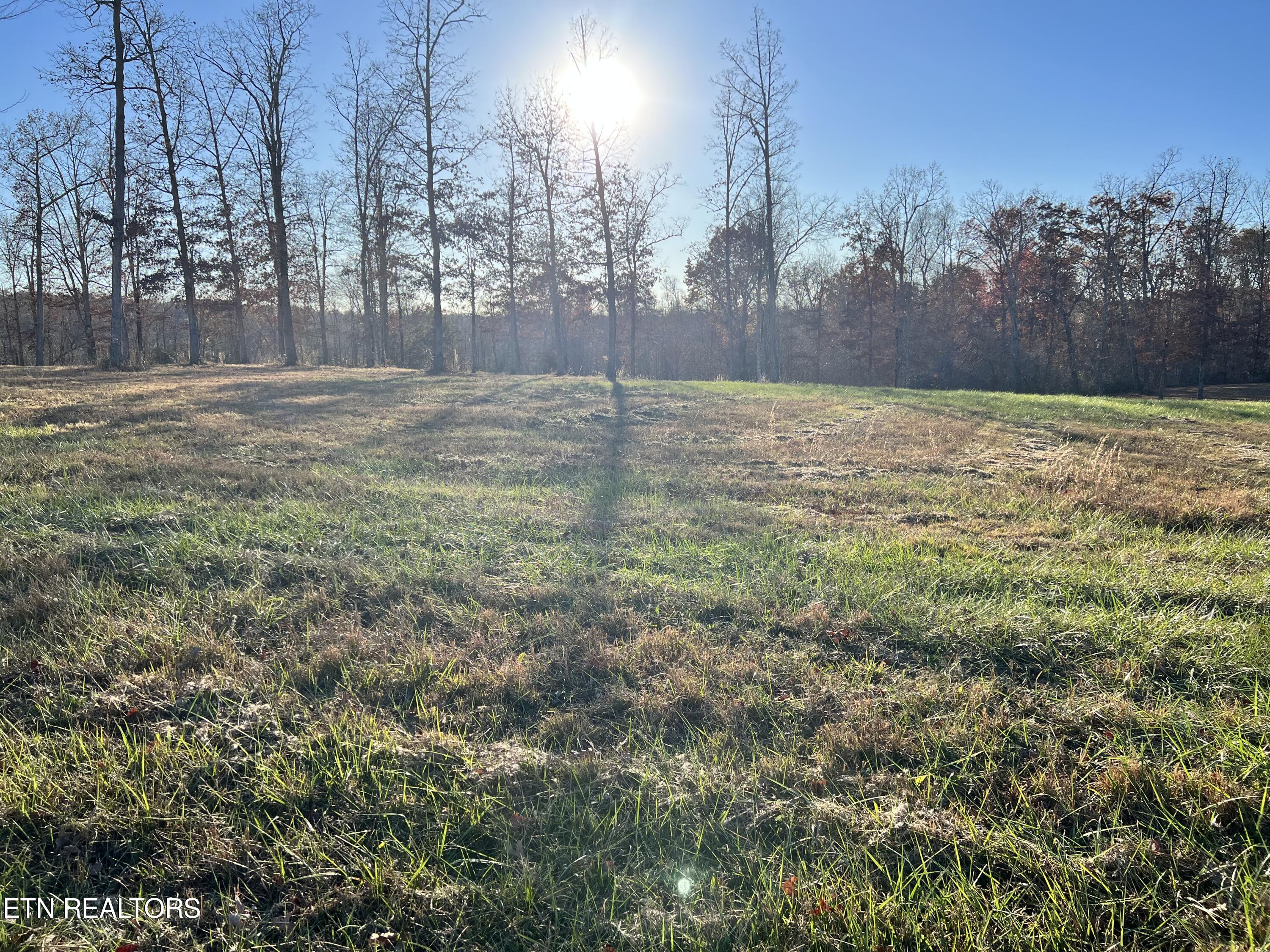 Bluff View Point Crossville, TN 38571 - Photo 1 of 3 Lot 15 Catoosa