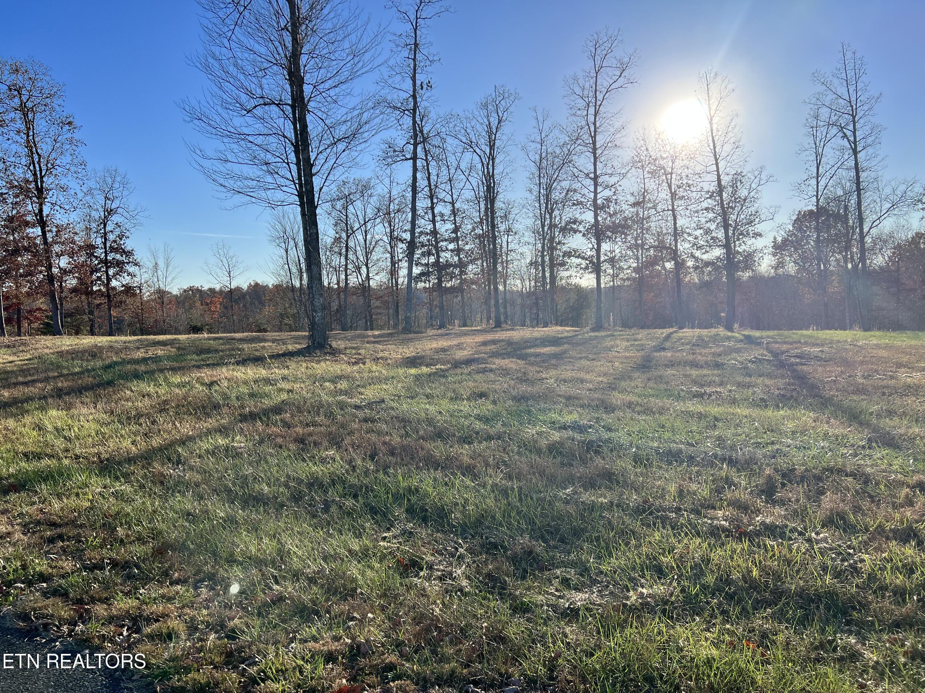 Bluff View Point Crossville, TN 38571 - Photo 2 of 3 Lot 15 1 Catoosa