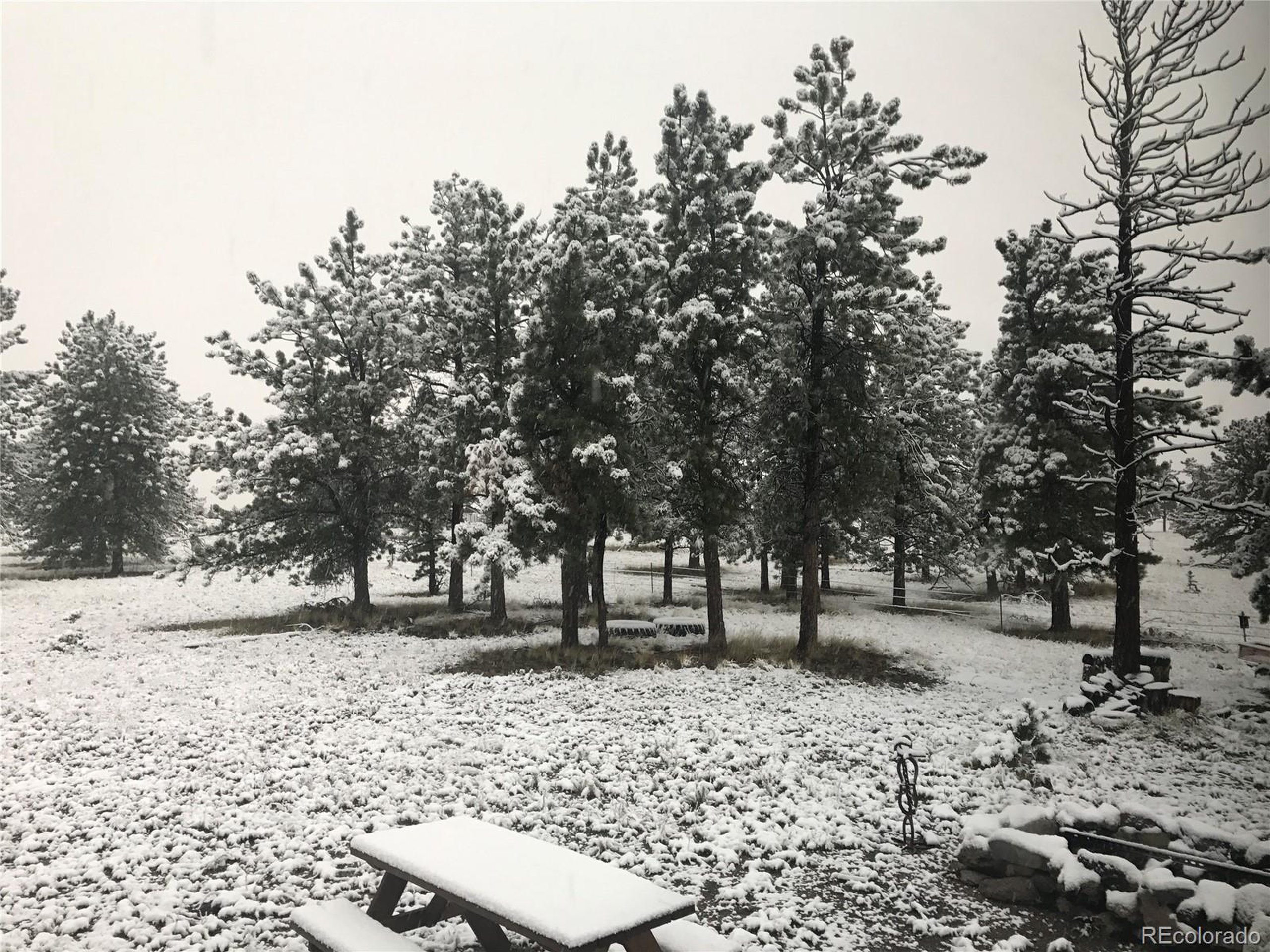 95839624 Ranch Road Hartsel, CO 80449 - Photo 12 of 18 Gallery Image 12