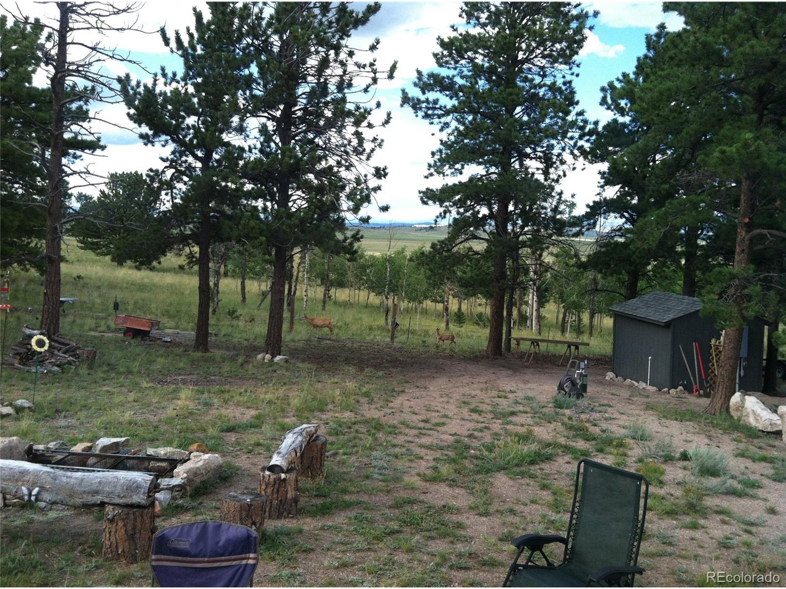 95839624 Ranch Road Hartsel, CO 80449 - Photo 14 of 18 Gallery Image 14