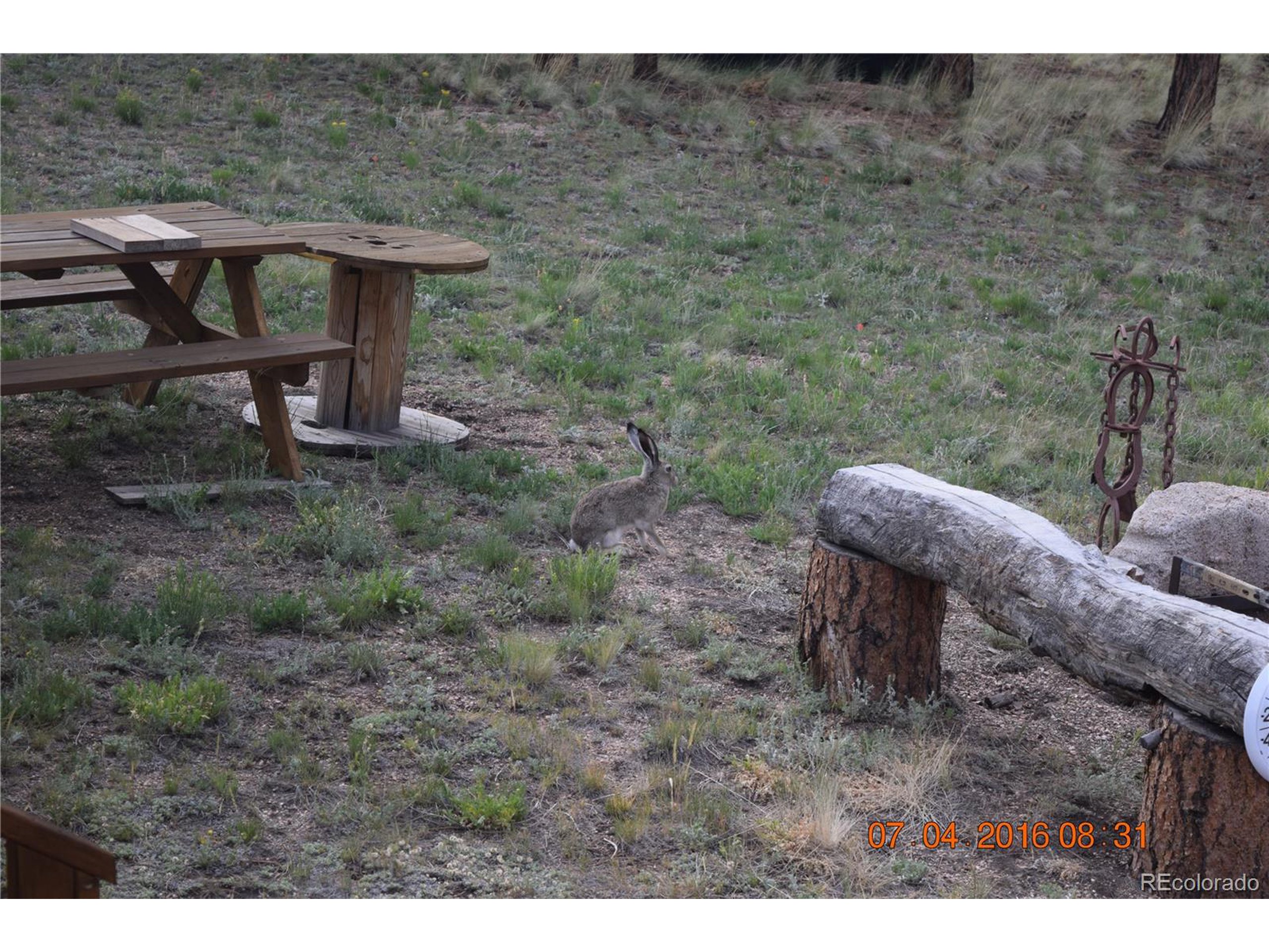 95839624 Ranch Road Hartsel, CO 80449 - Photo 9 of 18 Gallery Image 9