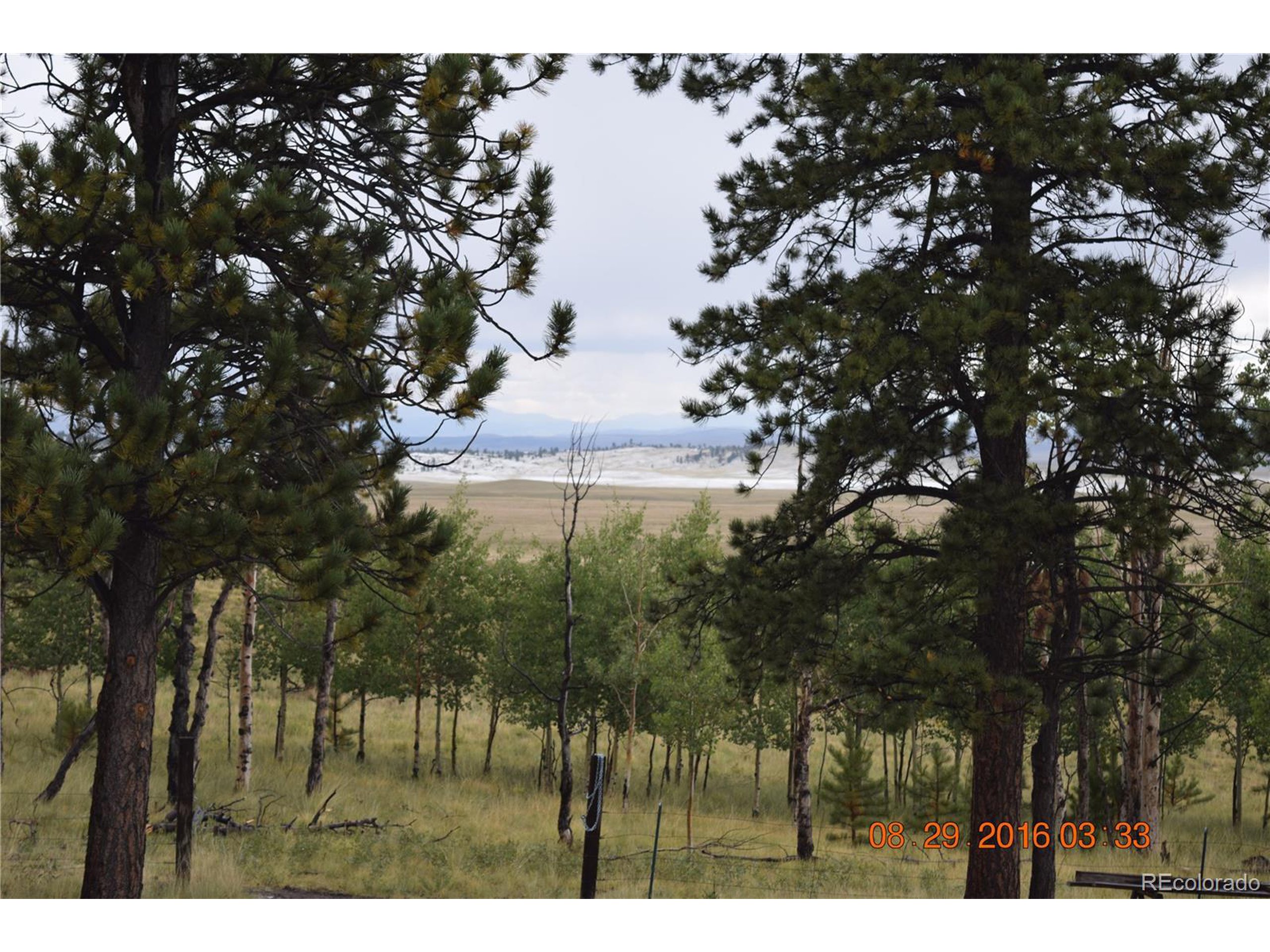 95839624 Ranch Road Hartsel, CO 80449 - Photo 10 of 18 Gallery Image 10