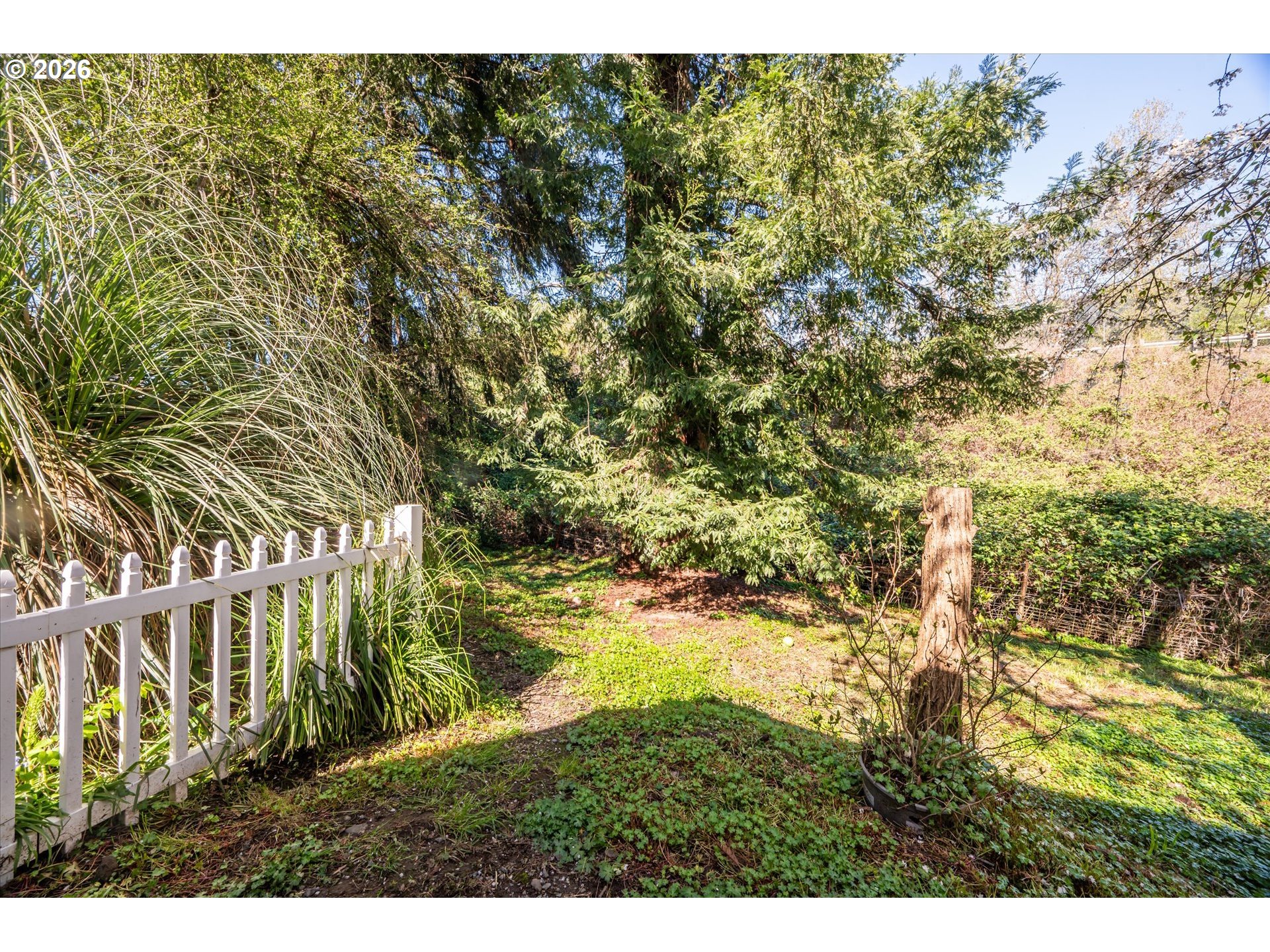 14982 Highway 42 Myrtle Point, OR 97458 - Photo 16 of 48