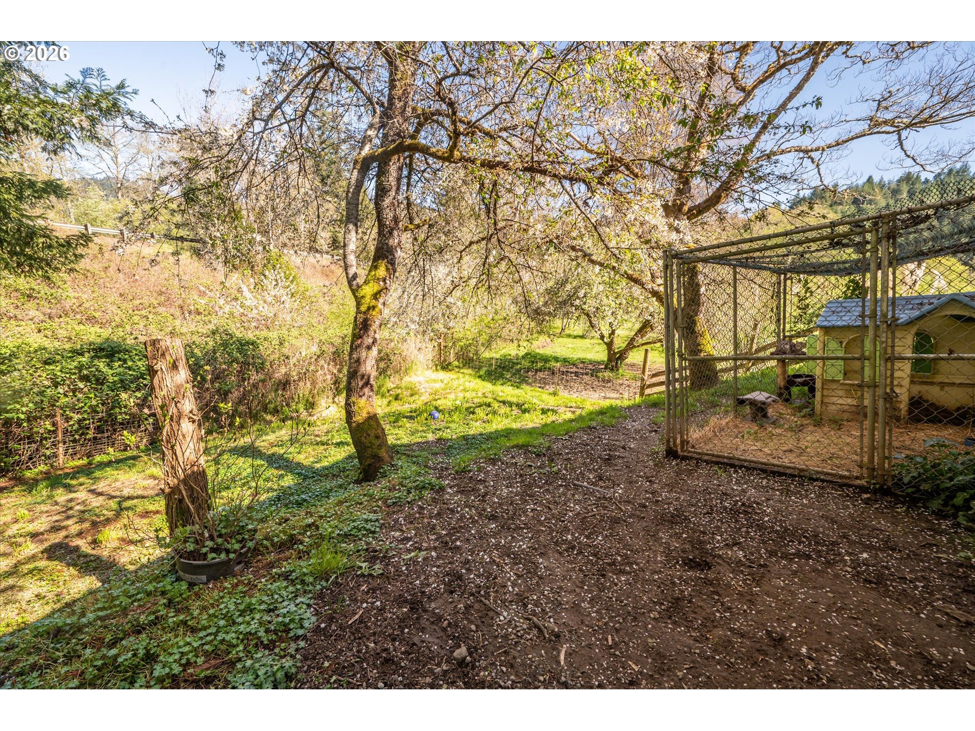 14982 Highway 42 Myrtle Point, OR 97458 - Photo 17 of 48