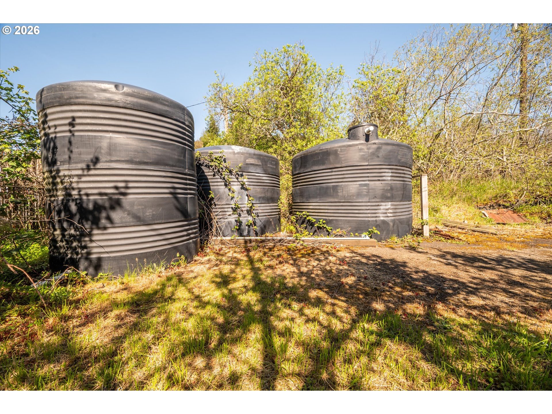 14982 Highway 42 Myrtle Point, OR 97458 - Photo 19 of 48