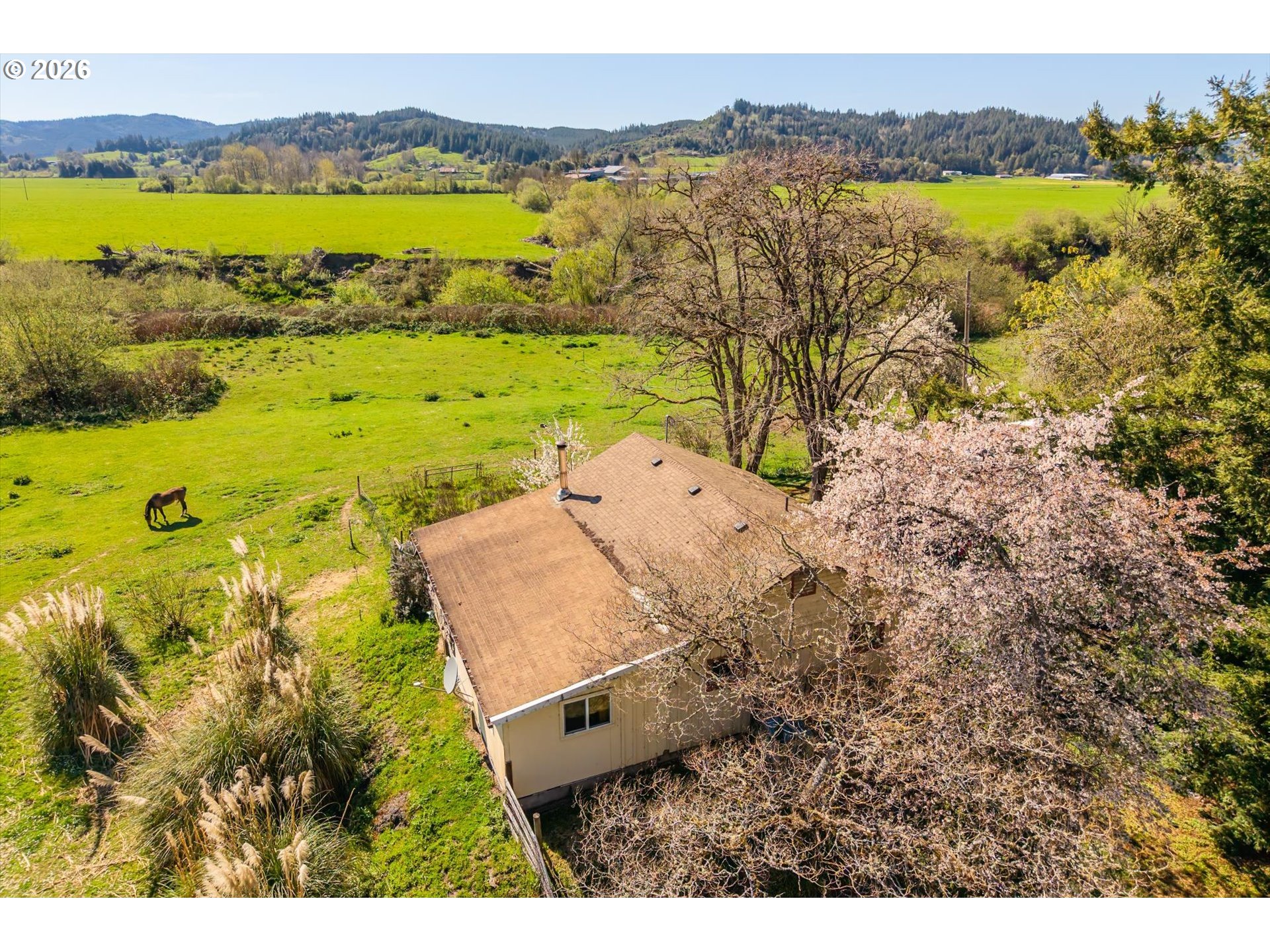 14982 Highway 42 Myrtle Point, OR 97458 - Photo 8 of 48