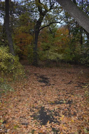 $388,000 | 3354 Shorewood Drive Southwest, Kensington, MN 56343