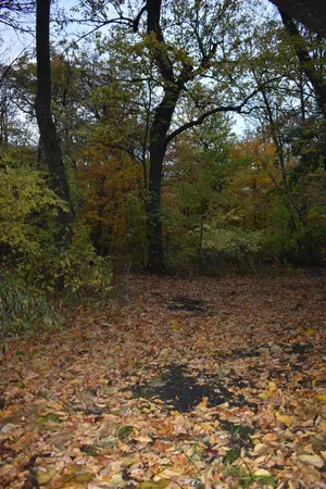 $388,000 | 3354 Shorewood Drive Southwest, Kensington, MN 56343