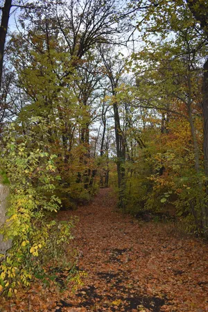 $388,000 | 3354 Shorewood Drive Southwest, Kensington, MN 56343