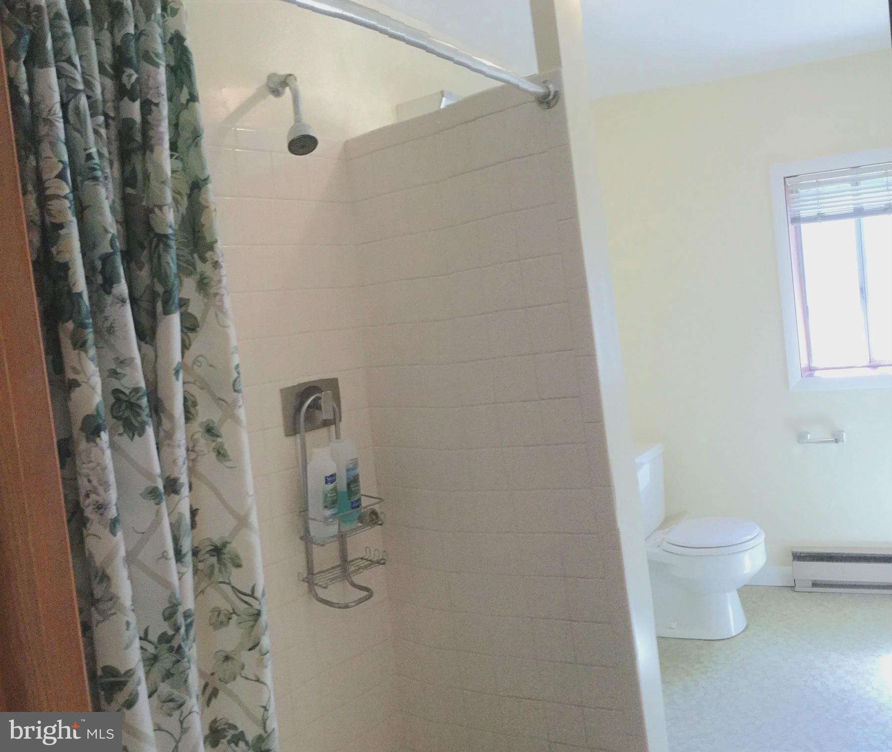 10613 Harry Heth Road Williamsport, MD 21795 - Photo 23 of 30 Bath