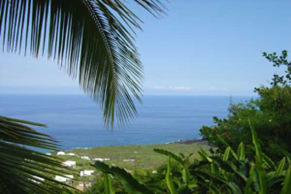 D' Road Captain Cook, HI 96704 - Photo 1 of 6 Gallery Image 1