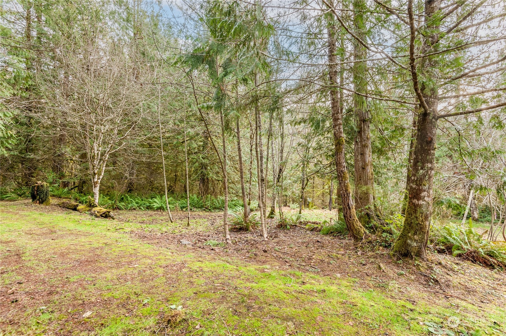 5424 Rose Valley Road Kelso, WA 98626 - Photo 32 of 37 Gallery Image 32