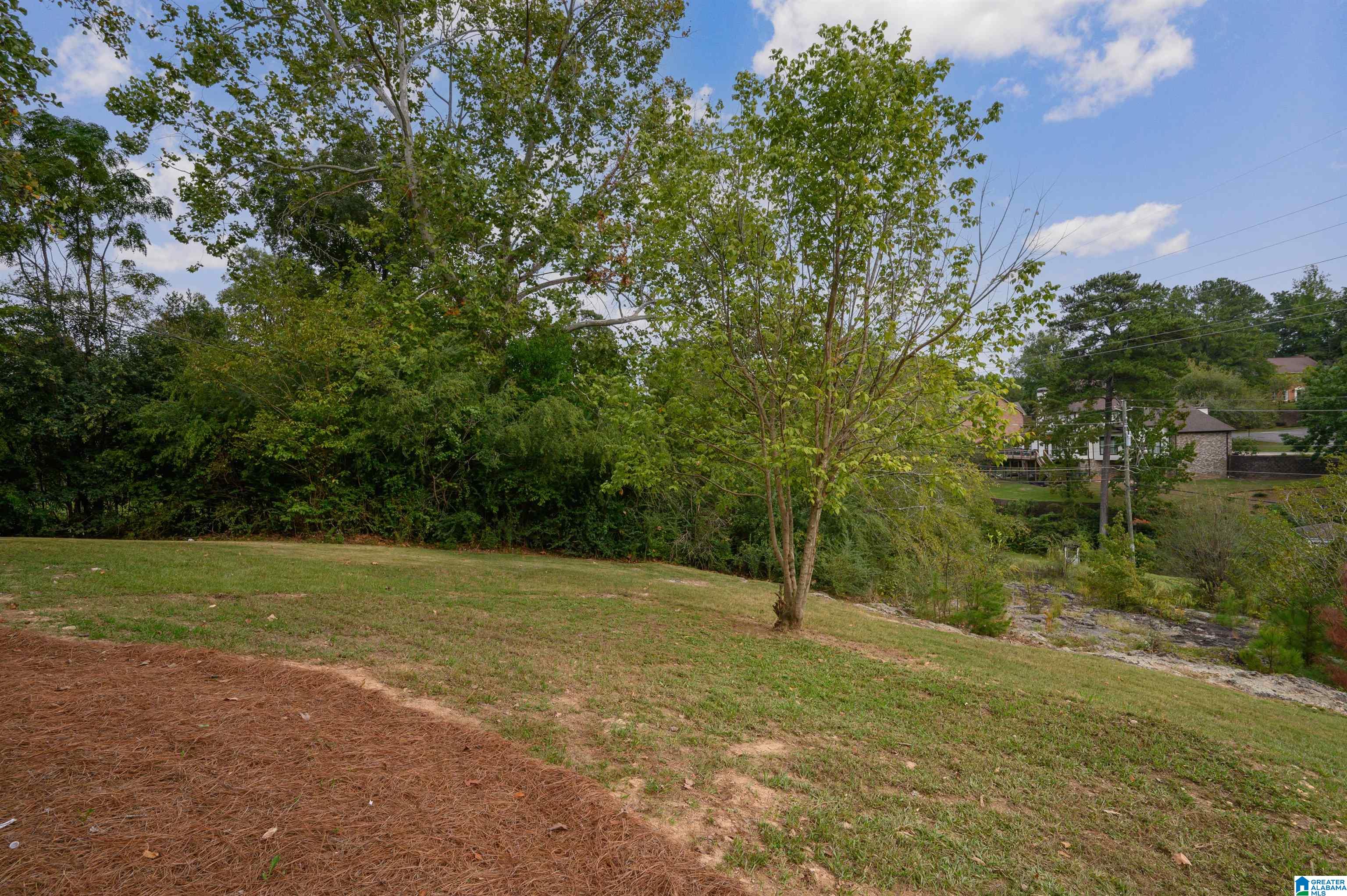 441 Ves Trace Road Birmingham, AL 35216 - Photo 53 of 53 Gallery Image 53