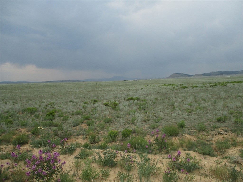 4995 Rio Blanco Road Hartsel, CO 80449 - Photo 15 of 17 Gallery Image 15