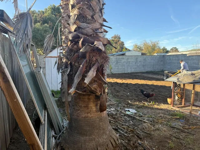 $495,000 | 165 South 4th Street, Shandon, CA 93461