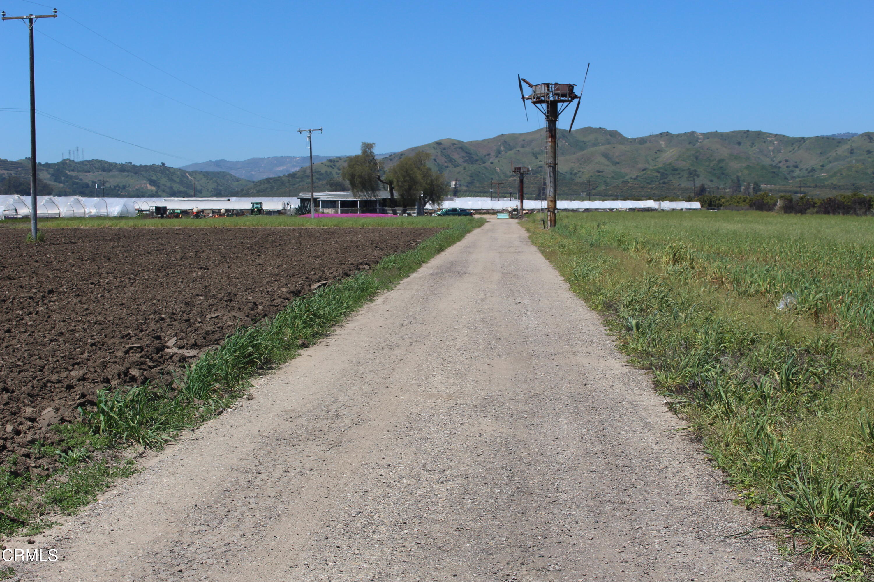 13717 West Telegraph Road Santa Paula, CA 93060 - Photo 11 of 13 a view of a road with a yard