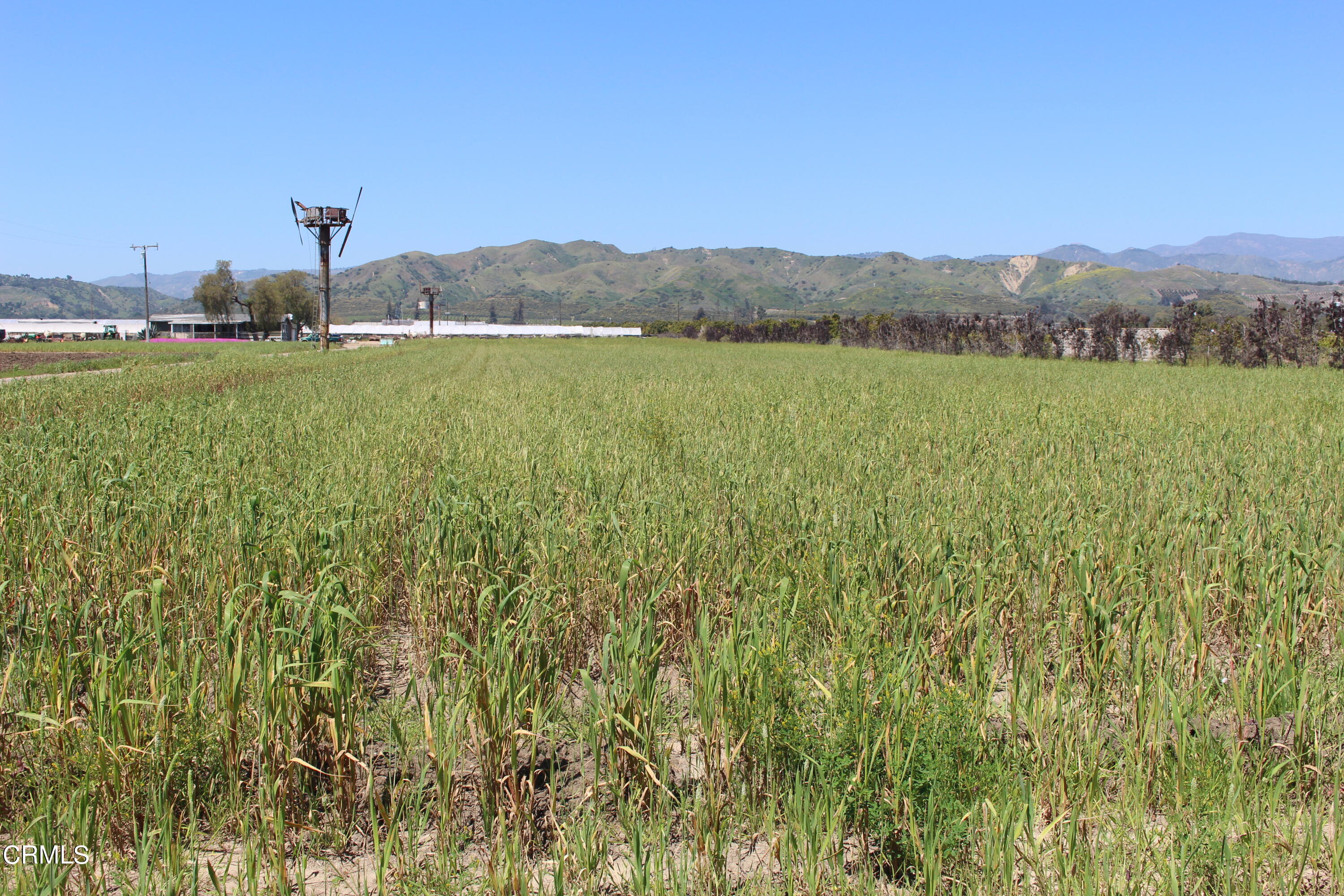 13717 West Telegraph Road Santa Paula, CA 93060 - Photo 3 of 13 a view of a lake with a mountain in the background