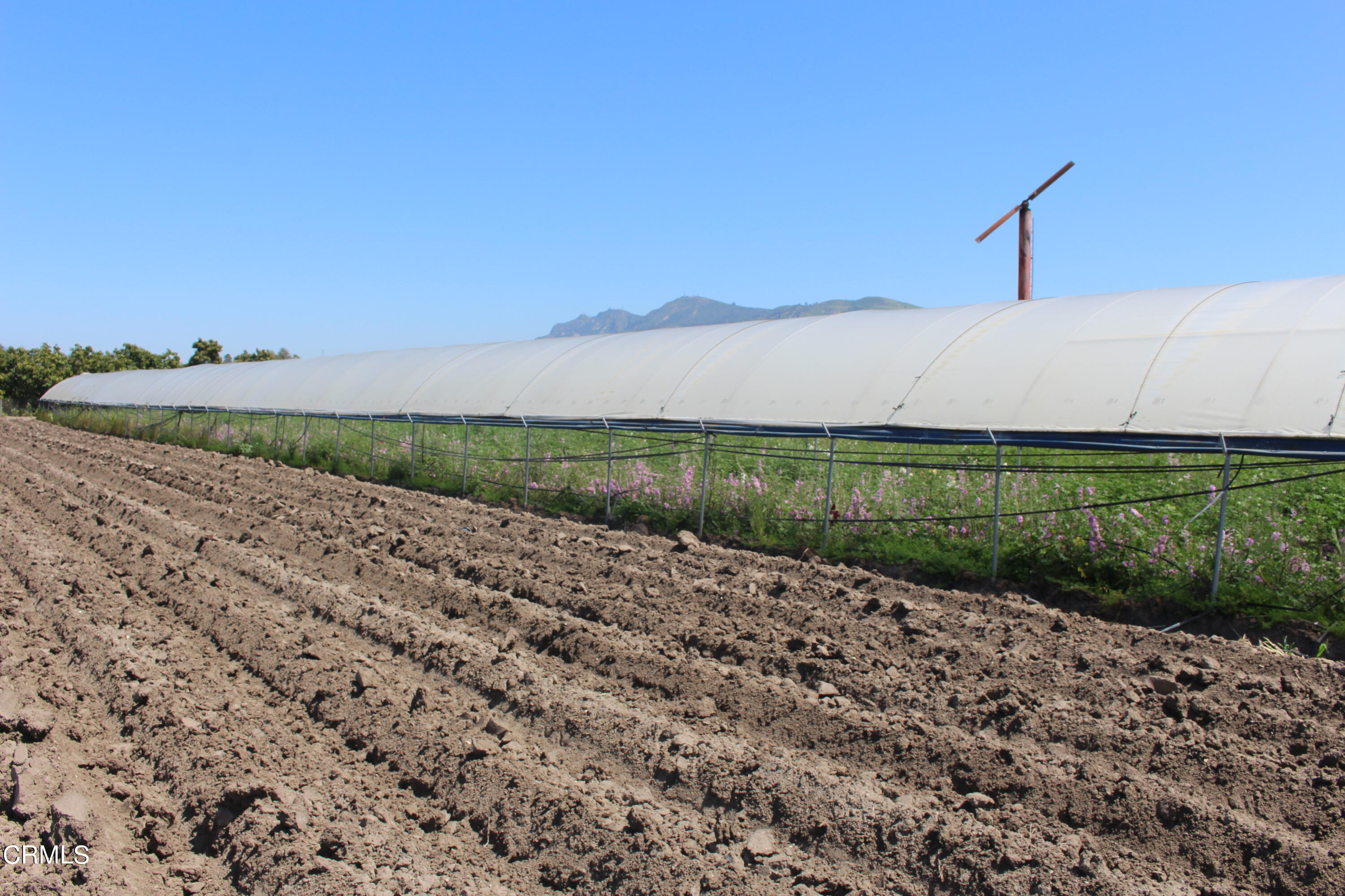 13717 West Telegraph Road Santa Paula, CA 93060 - Photo 4 of 13 a view of a road with a field