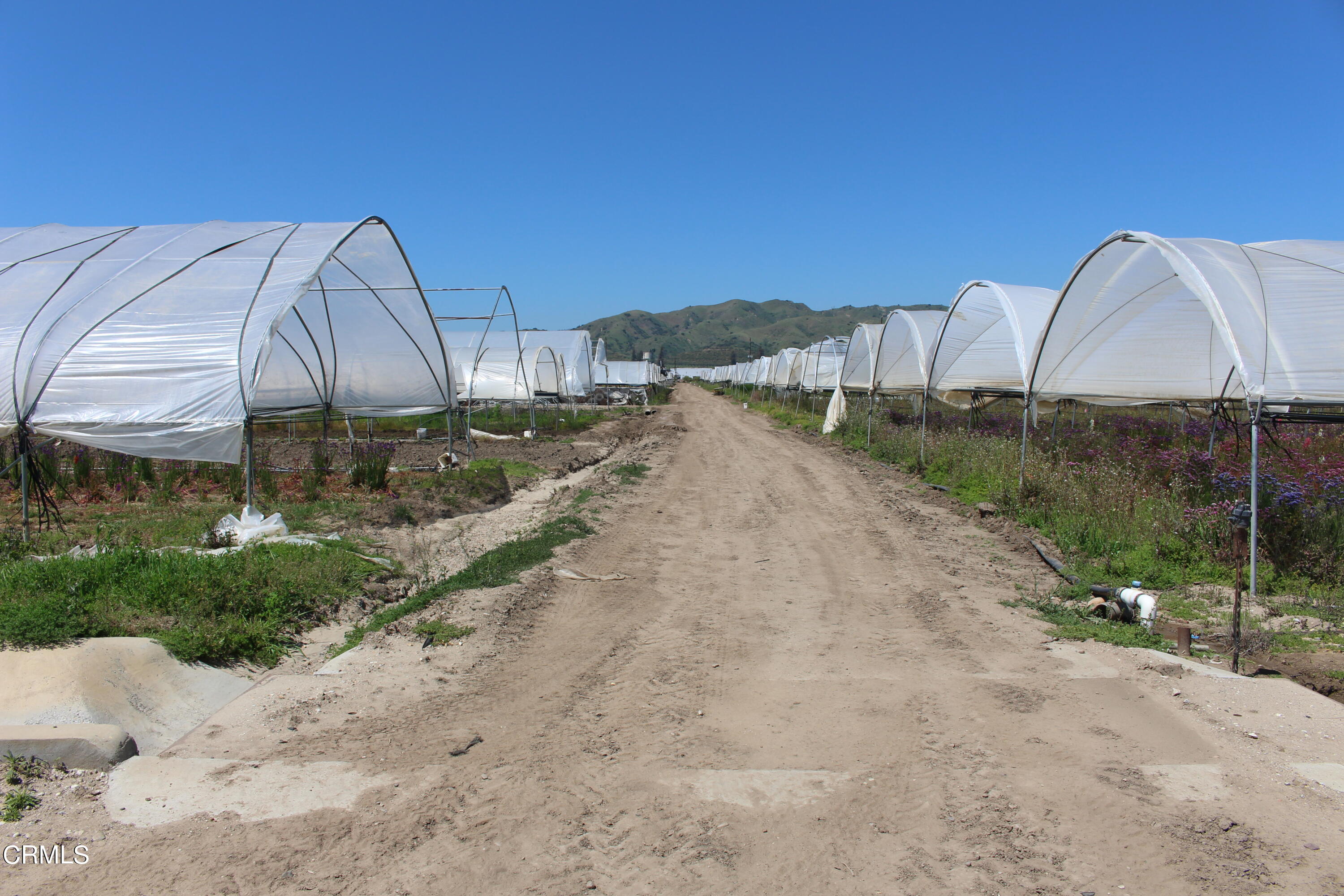 13717 West Telegraph Road Santa Paula, CA 93060 - Photo 5 of 13 a view of a outdoor space