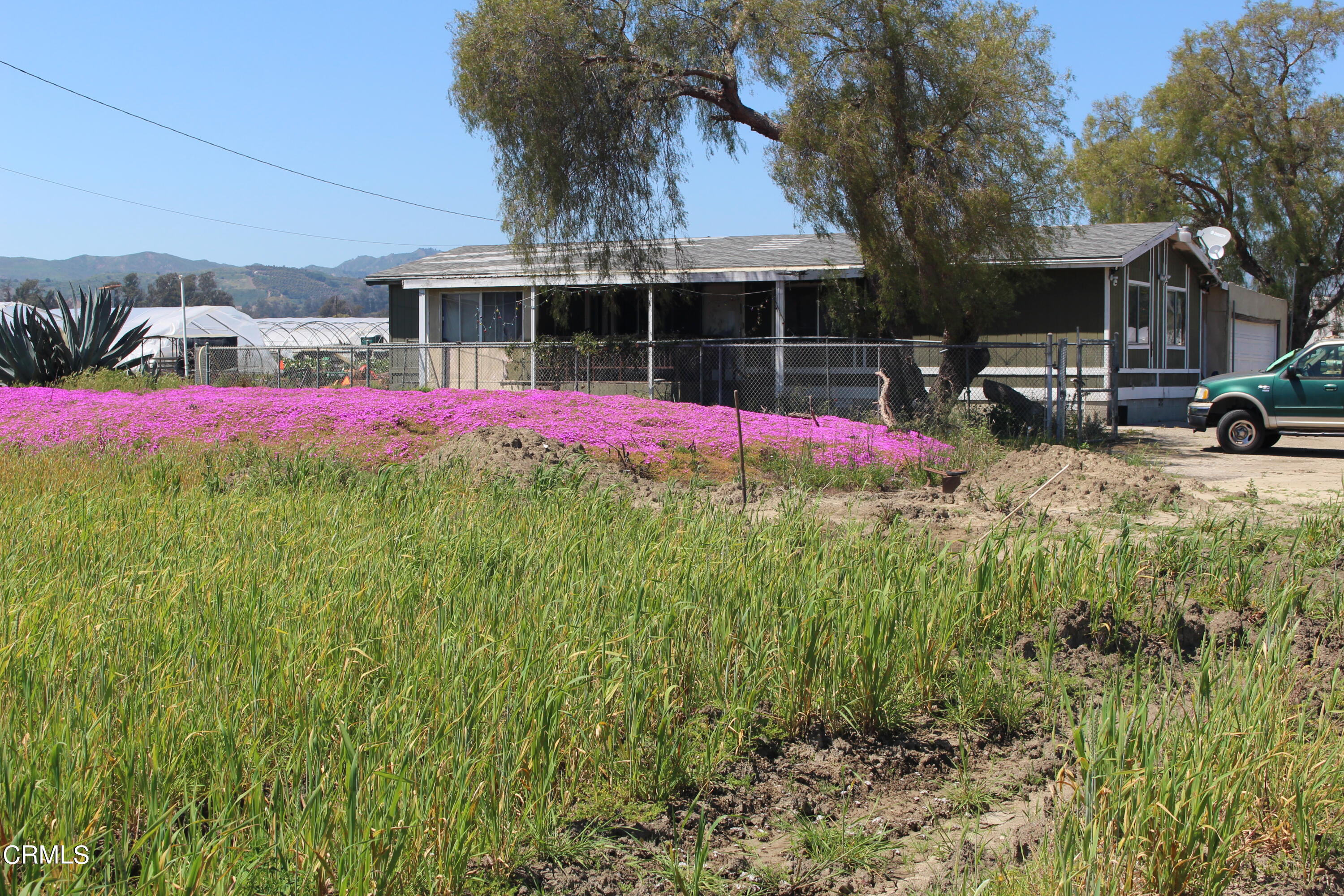 13717 West Telegraph Road Santa Paula, CA 93060 - Photo 6 of 13 a view of a house with a small yard and a large tree
