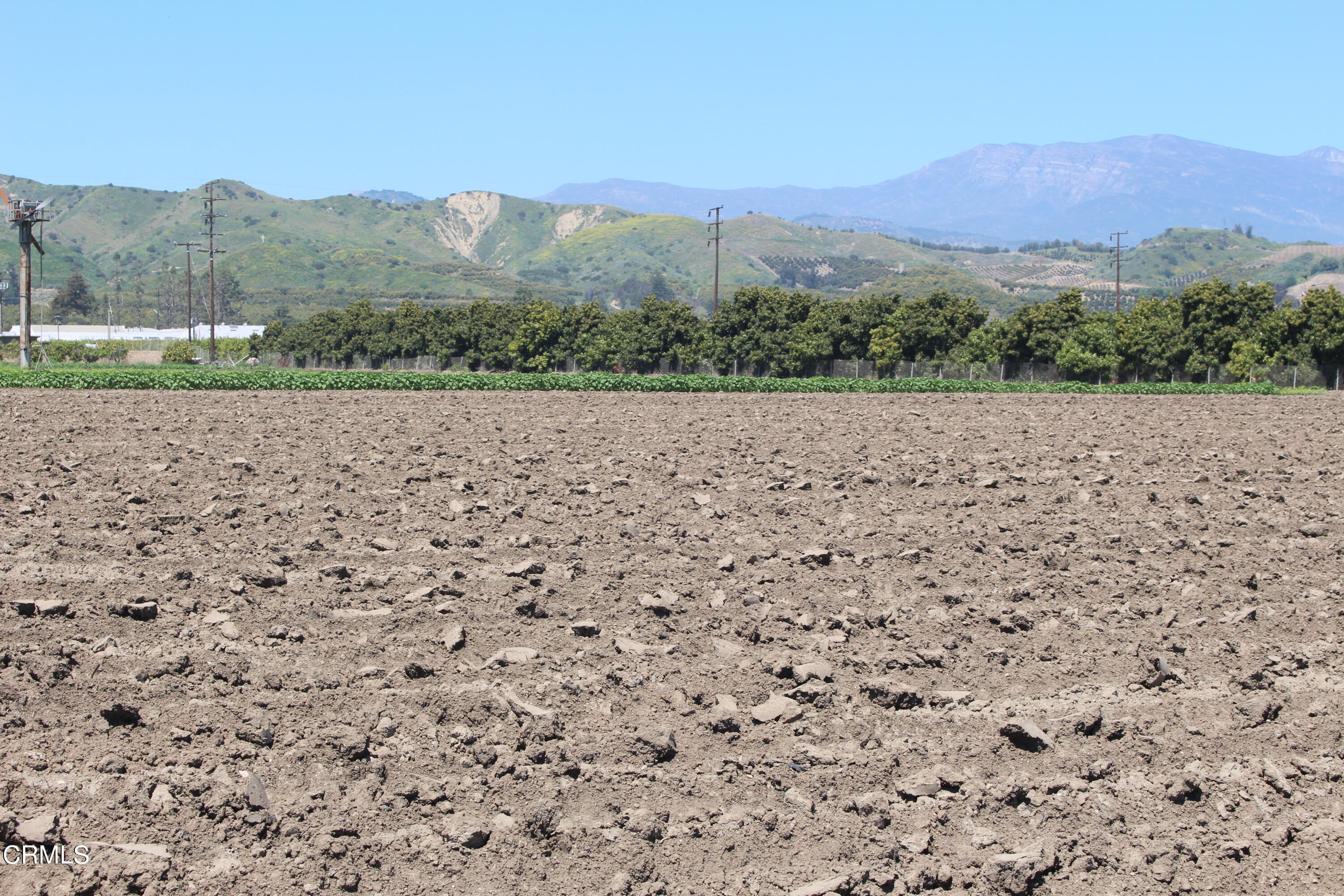 13717 West Telegraph Road Santa Paula, CA 93060 - Photo 10 of 13 a view of outdoor space and mountain view