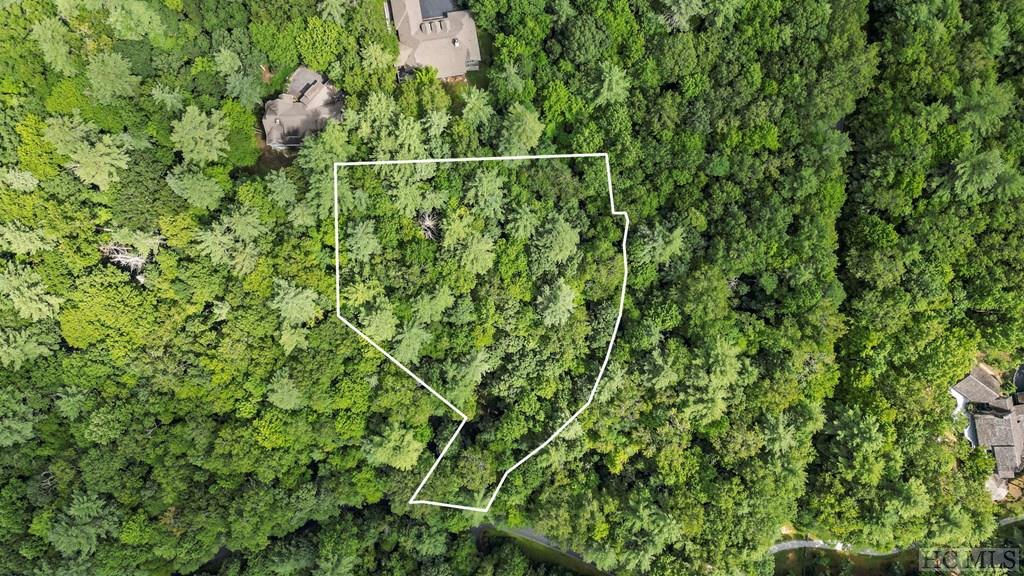 12 Staircase Falls Road Sapphire, NC 28774 - Photo 4 of 20 Gallery Image 4