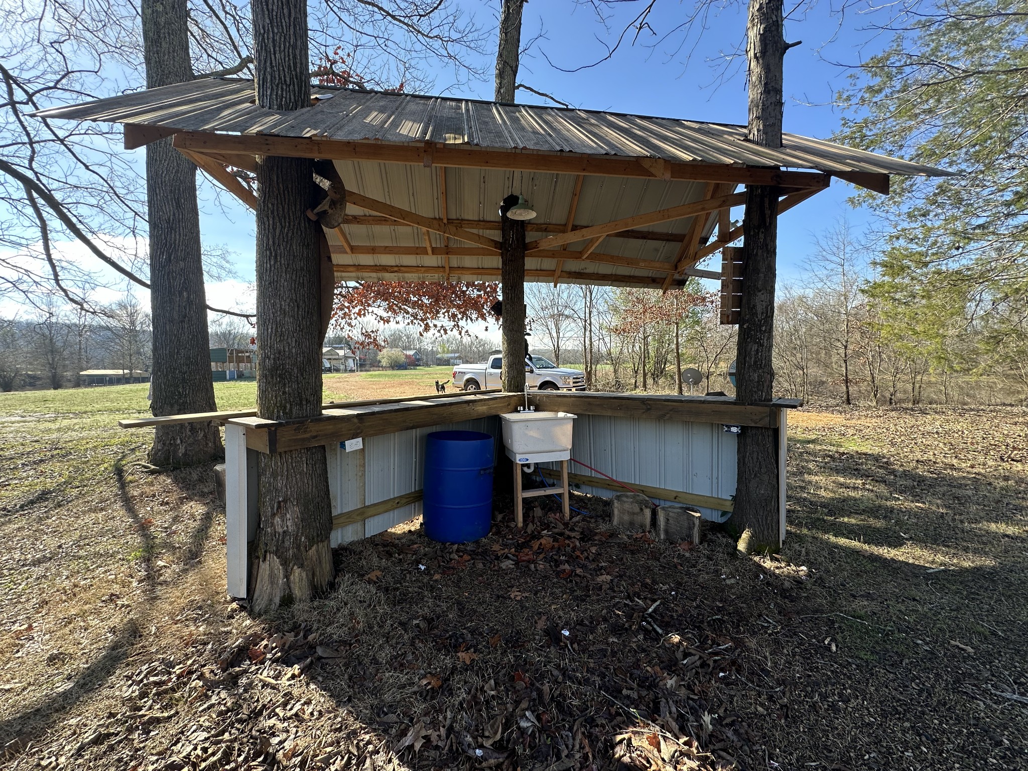 257 Peavy Cove Decaturville, TN 38329 - Photo 14 of 28 Gallery Image 14