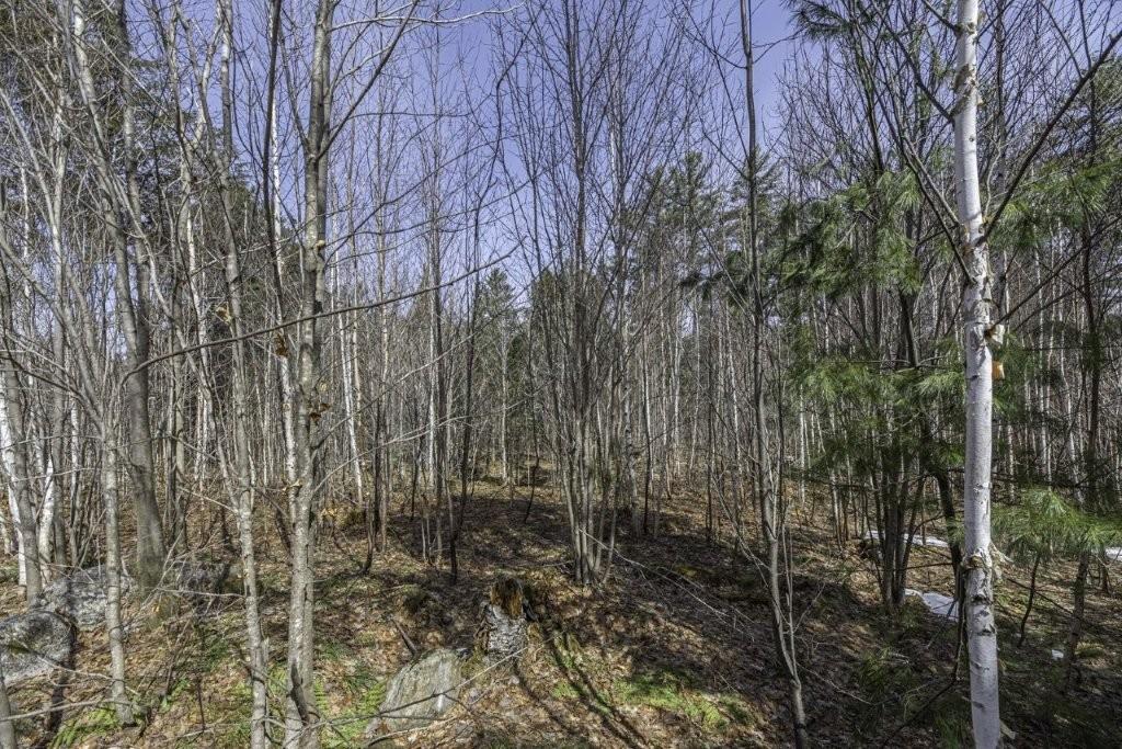 Off Natural Springs Road Presque Isle, WI 54557 - Photo 21 of 27 Gallery Image 21