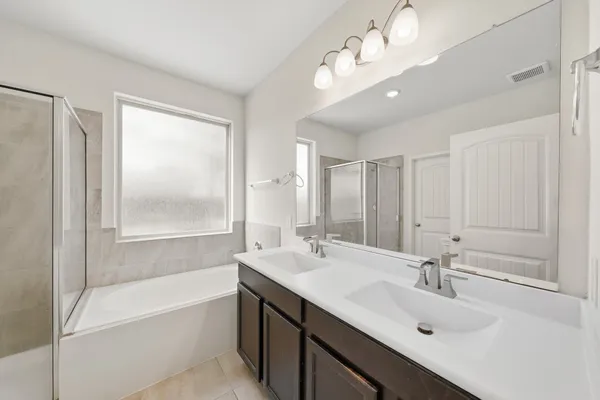 a bathroom with a tub sink double vanity and a mirror
