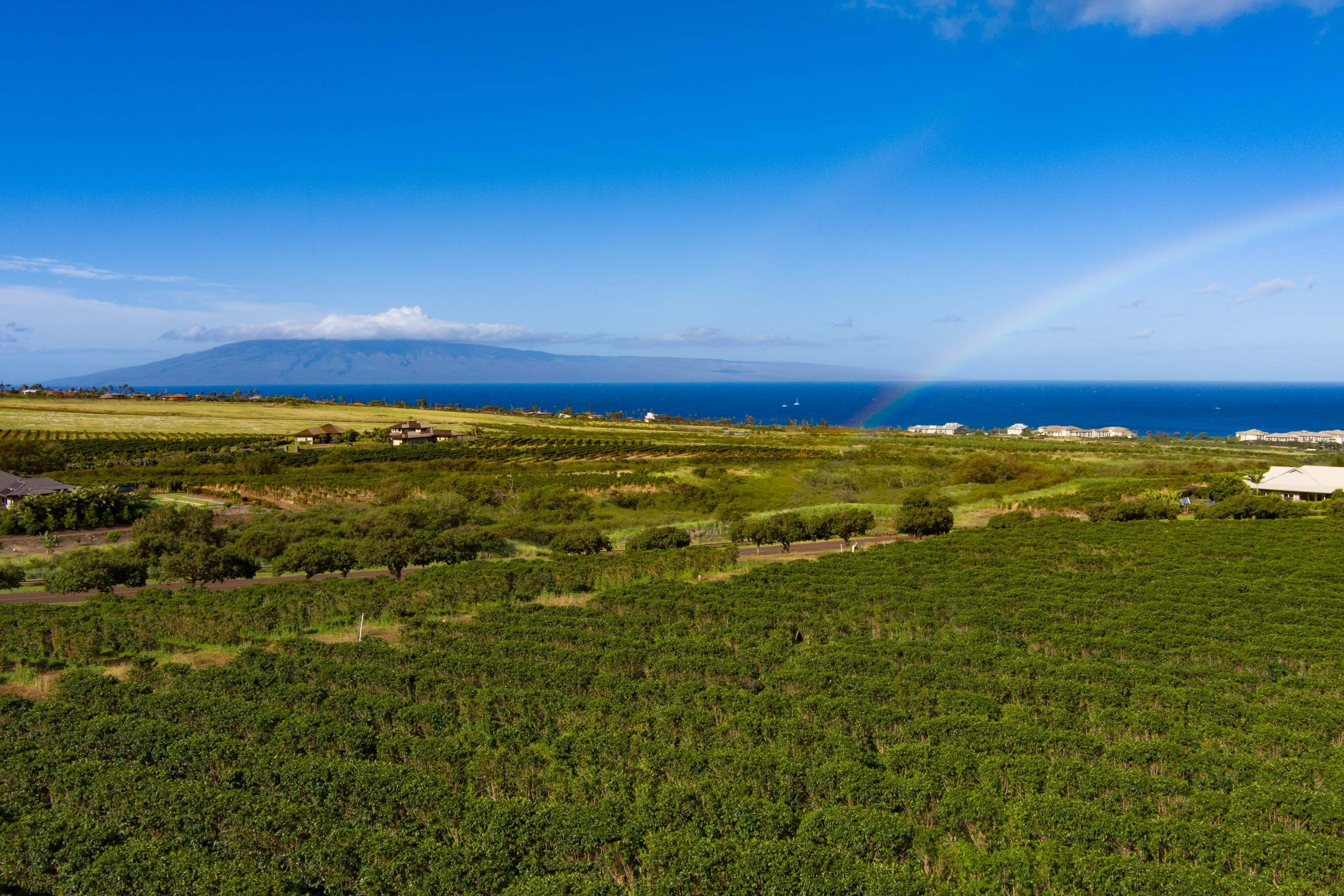 2751 Aina Mahiai Pl Unit 33