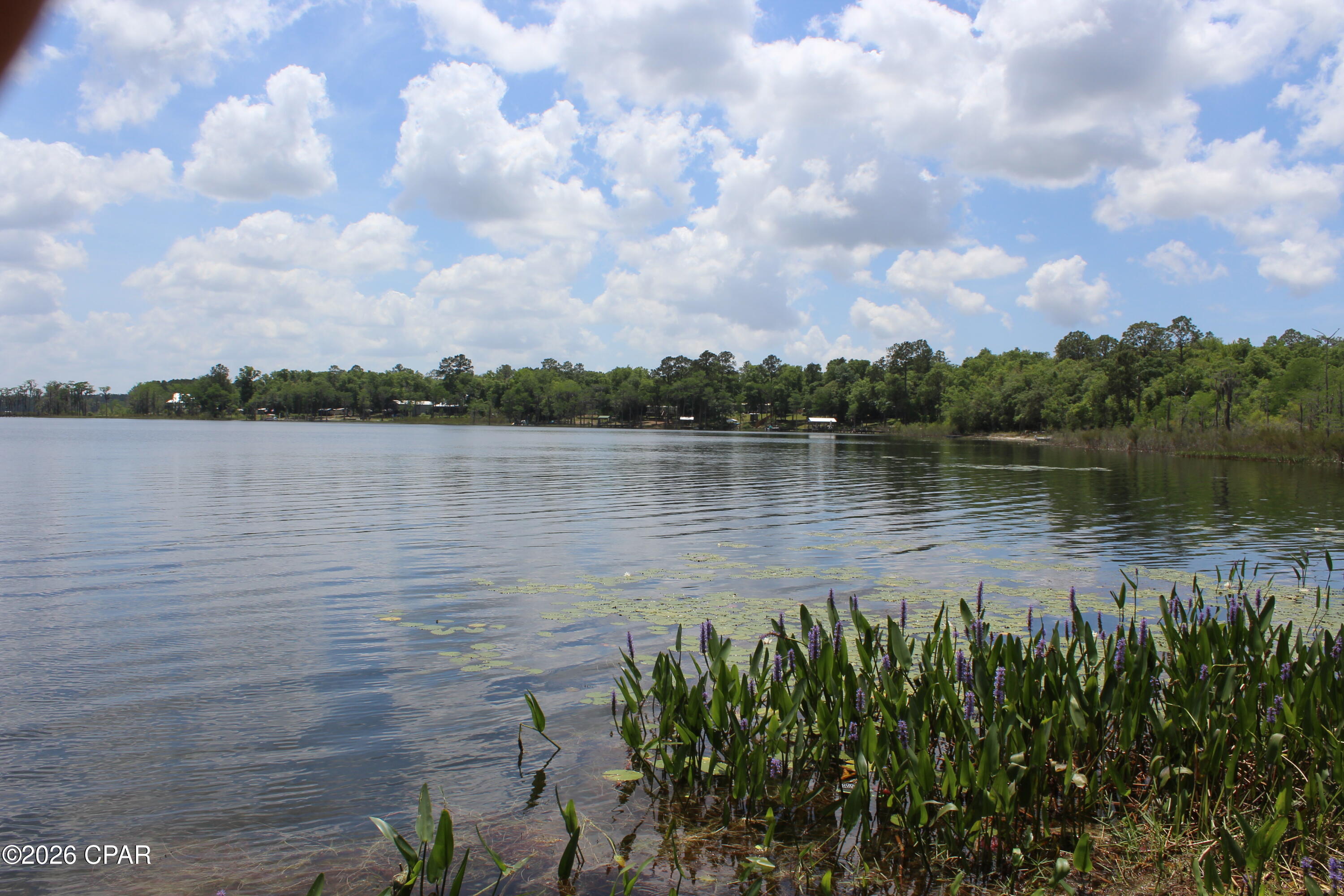 Lot 22 Cynthia Way Chipley, FL 32428 - Photo 4 of 4