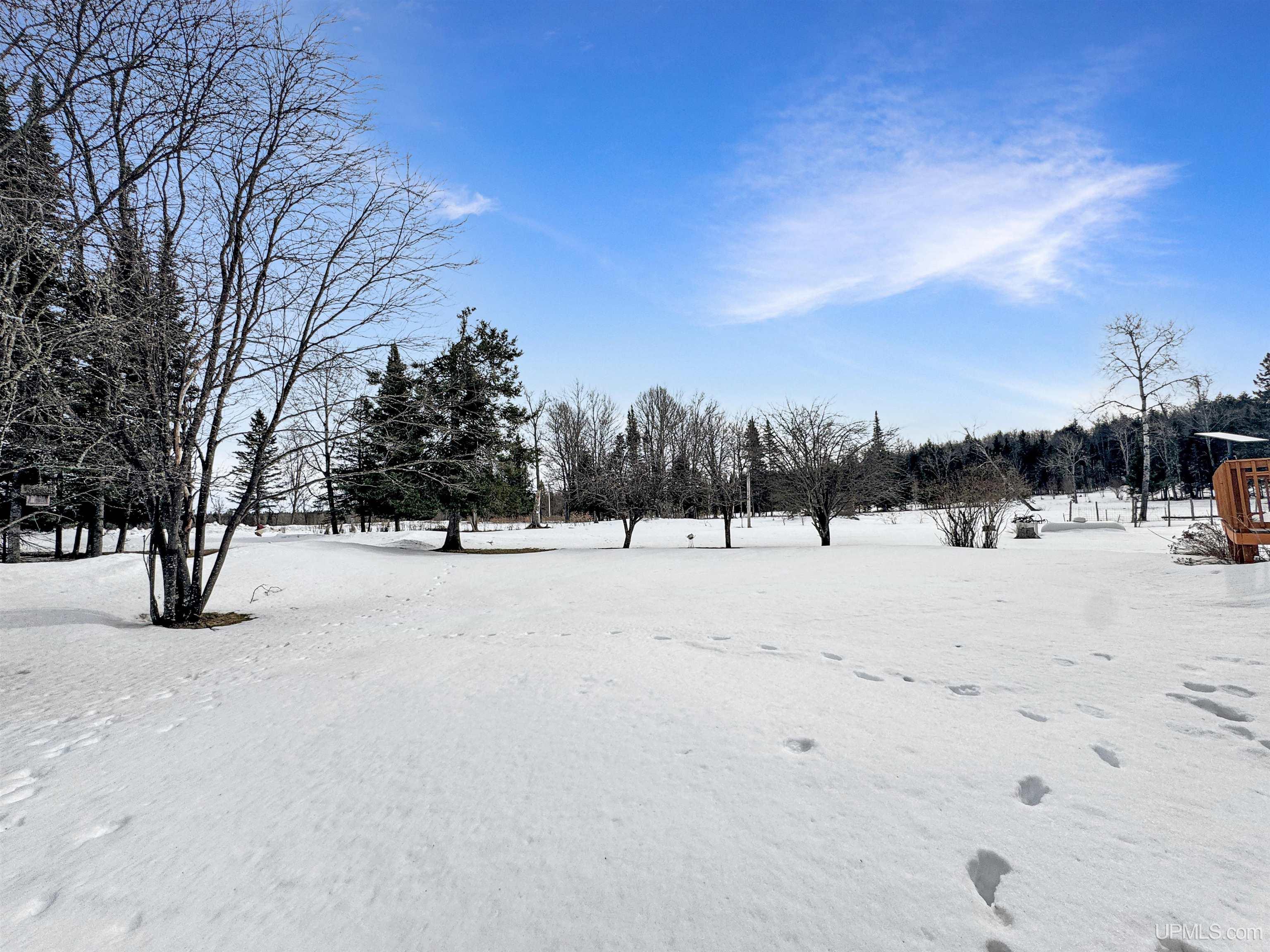 313 Peterson Road Crystal Falls, MI 49920 - Photo 3 of 25