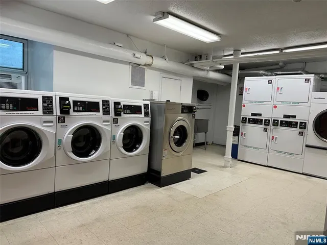 a view of a tree in the middle of a yard