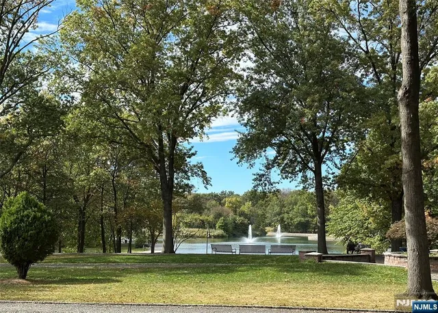 a park view with a bench