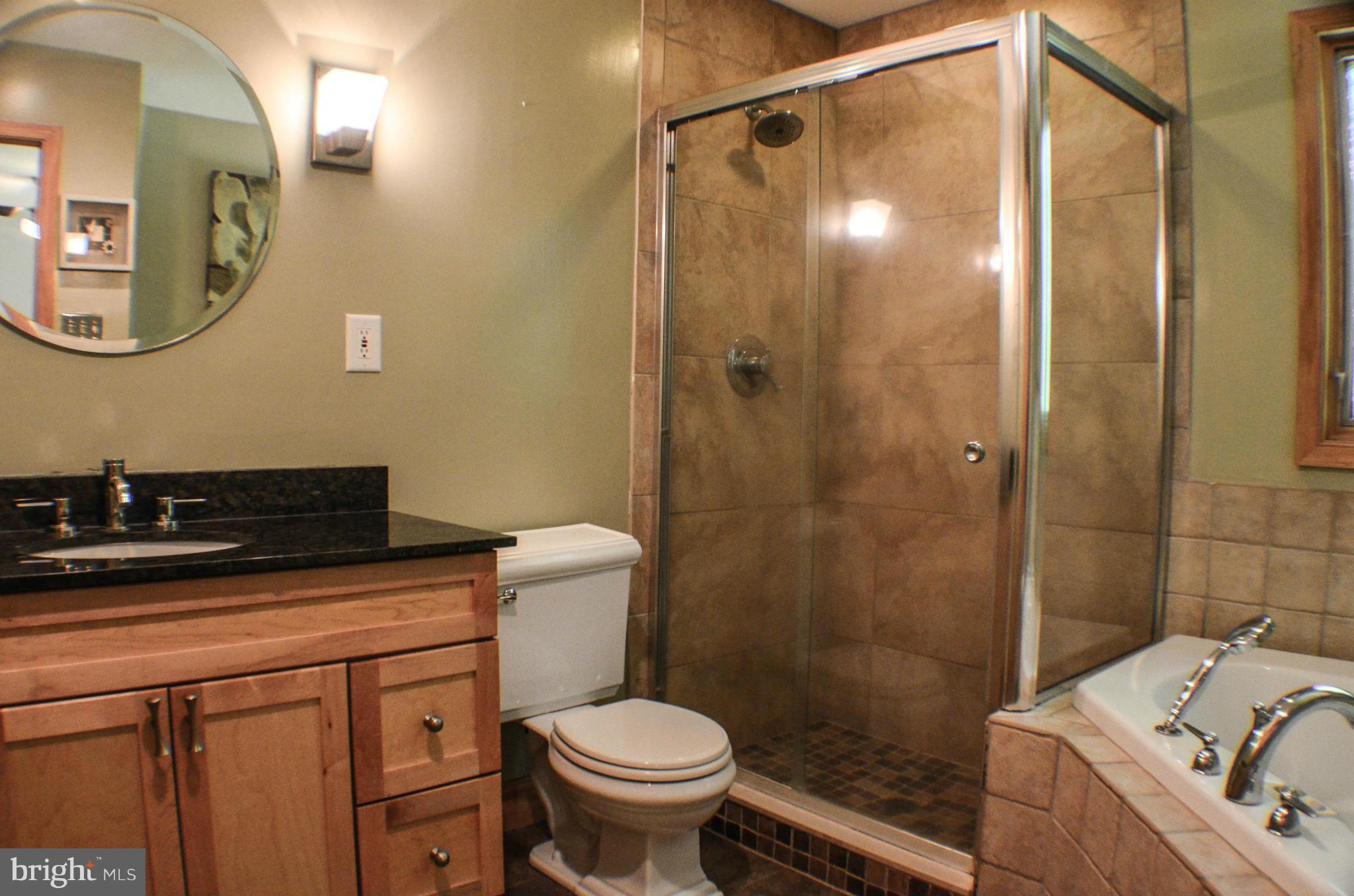 1700 Abelia Road Fallston, MD 21047 - Photo 23 of 30 a bathroom with a sink a toilet and shower