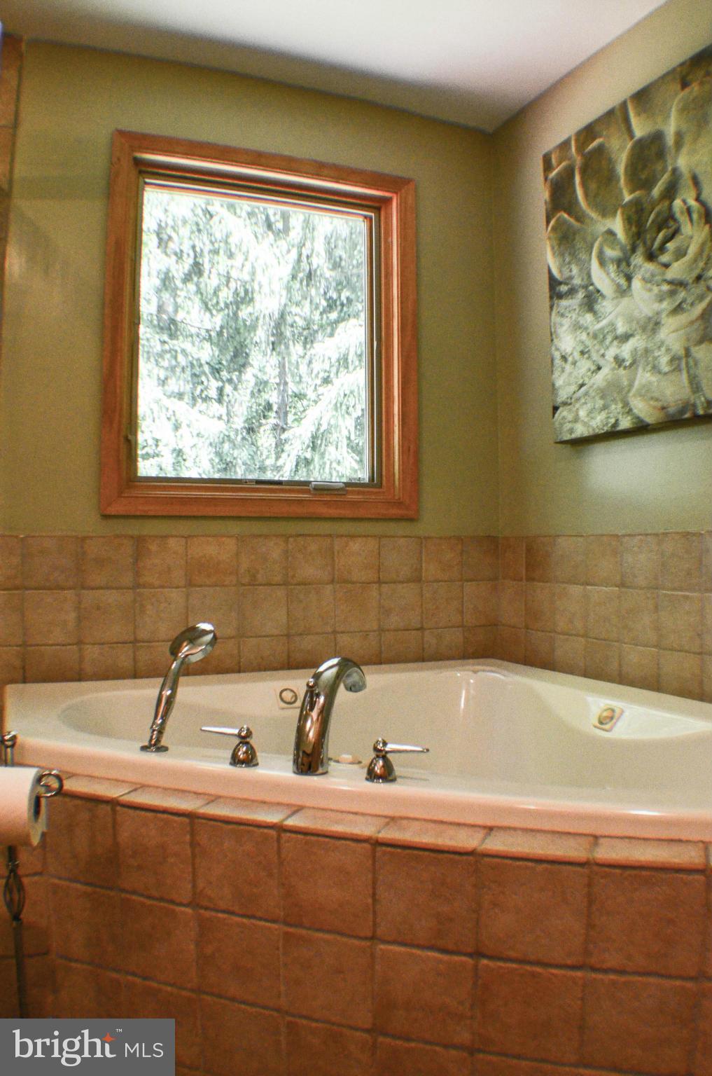 1700 Abelia Road Fallston, MD 21047 - Photo 24 of 30 a bathroom with a bathtub and next to a window
