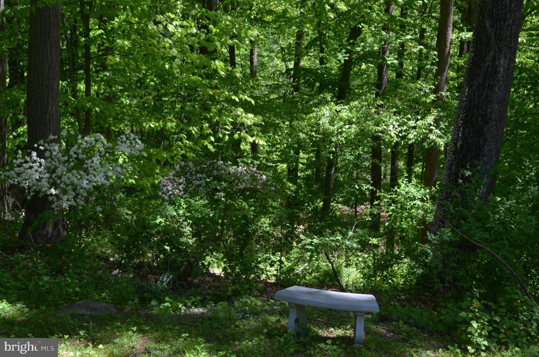 1700 Abelia Road Fallston, MD 21047 - Photo 29 of 30 a view of a tree in a backyard