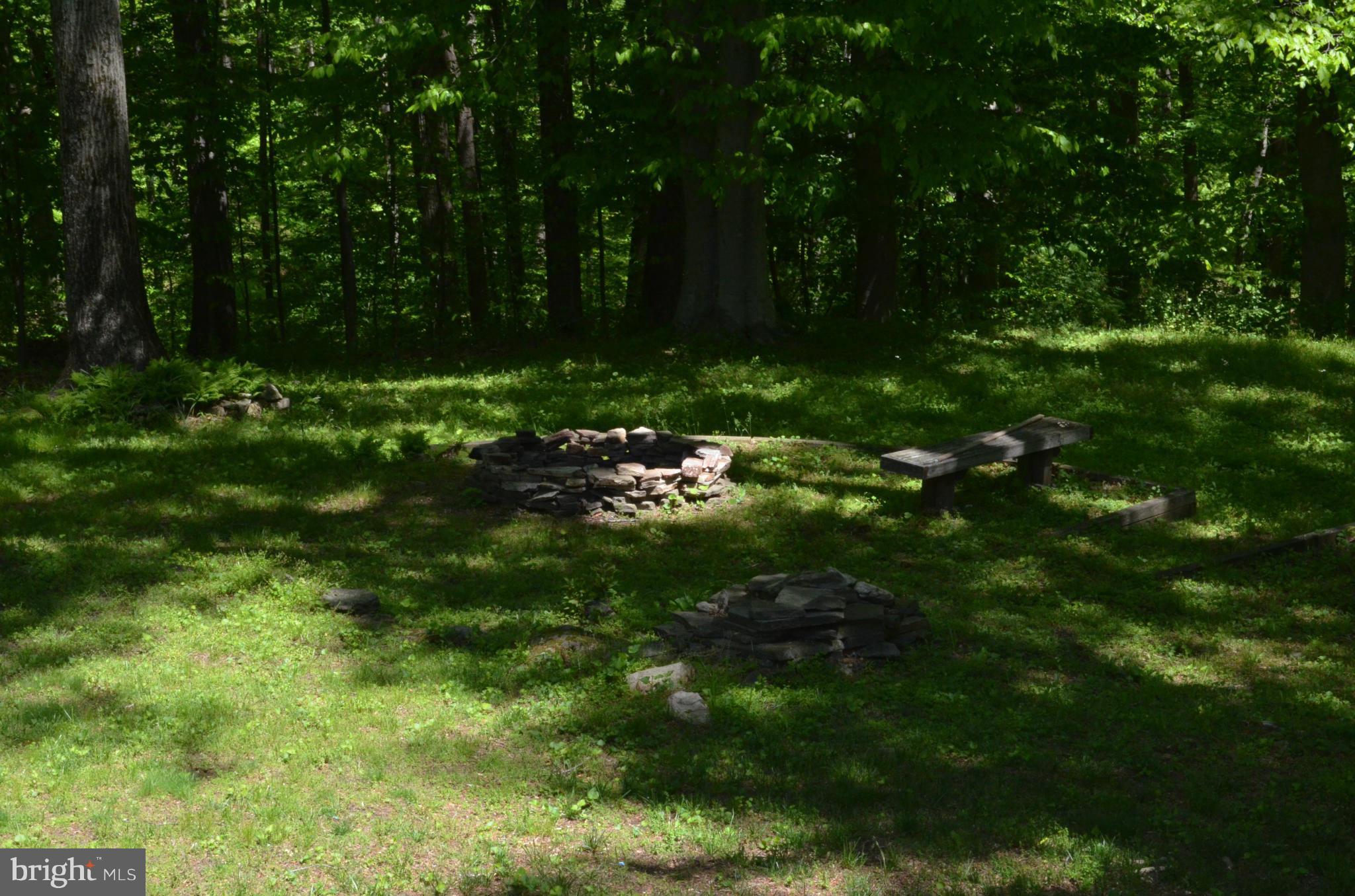 1700 Abelia Road Fallston, MD 21047 - Photo 30 of 30 a backyard of a house with lots of green space