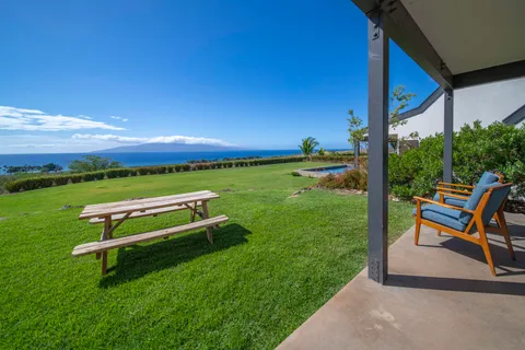 a view of a garden with a plant