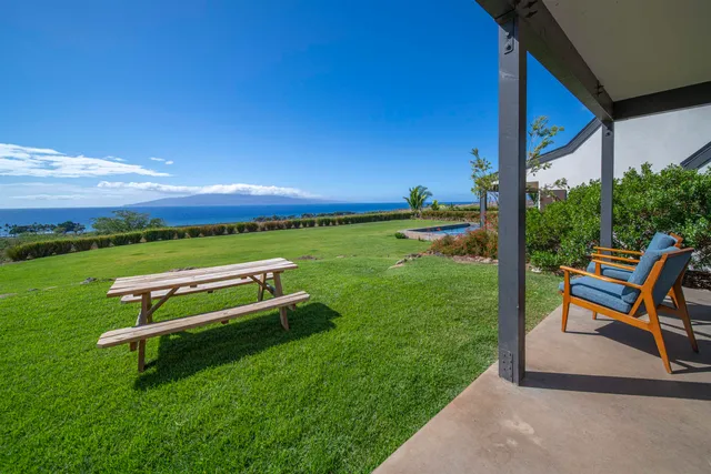 a view of a garden with a plant