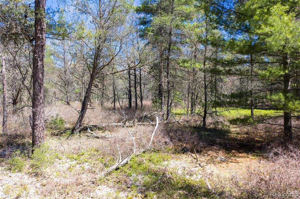 0 Scott Road East Tawas, MI 48730 - Photo 6 of 17