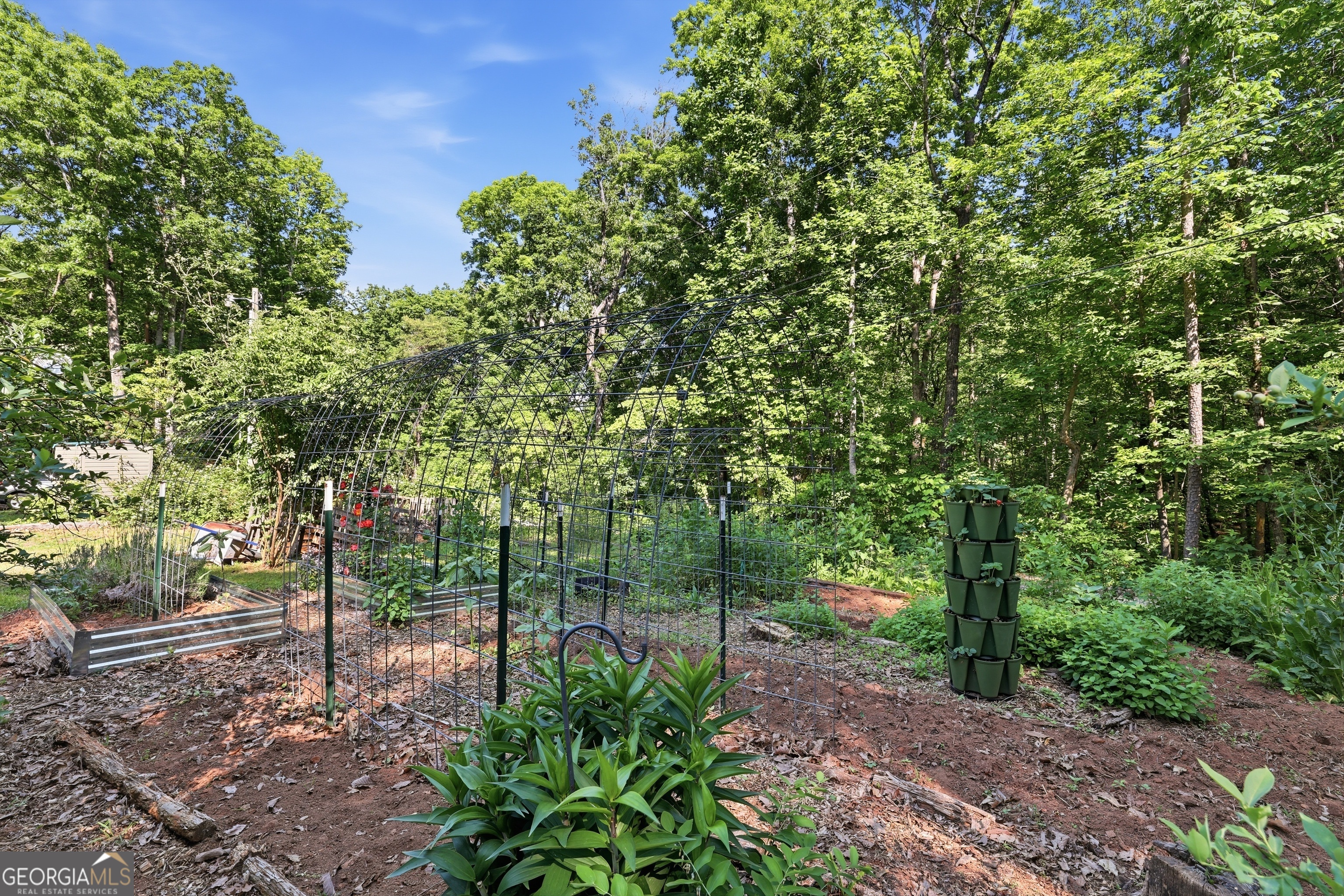55 Deavours Lane Cleveland, GA 30528 - Photo 25 of 27 Mature Garden